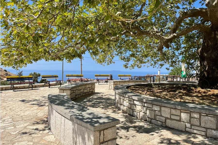 The square of Pilur with it's old tree